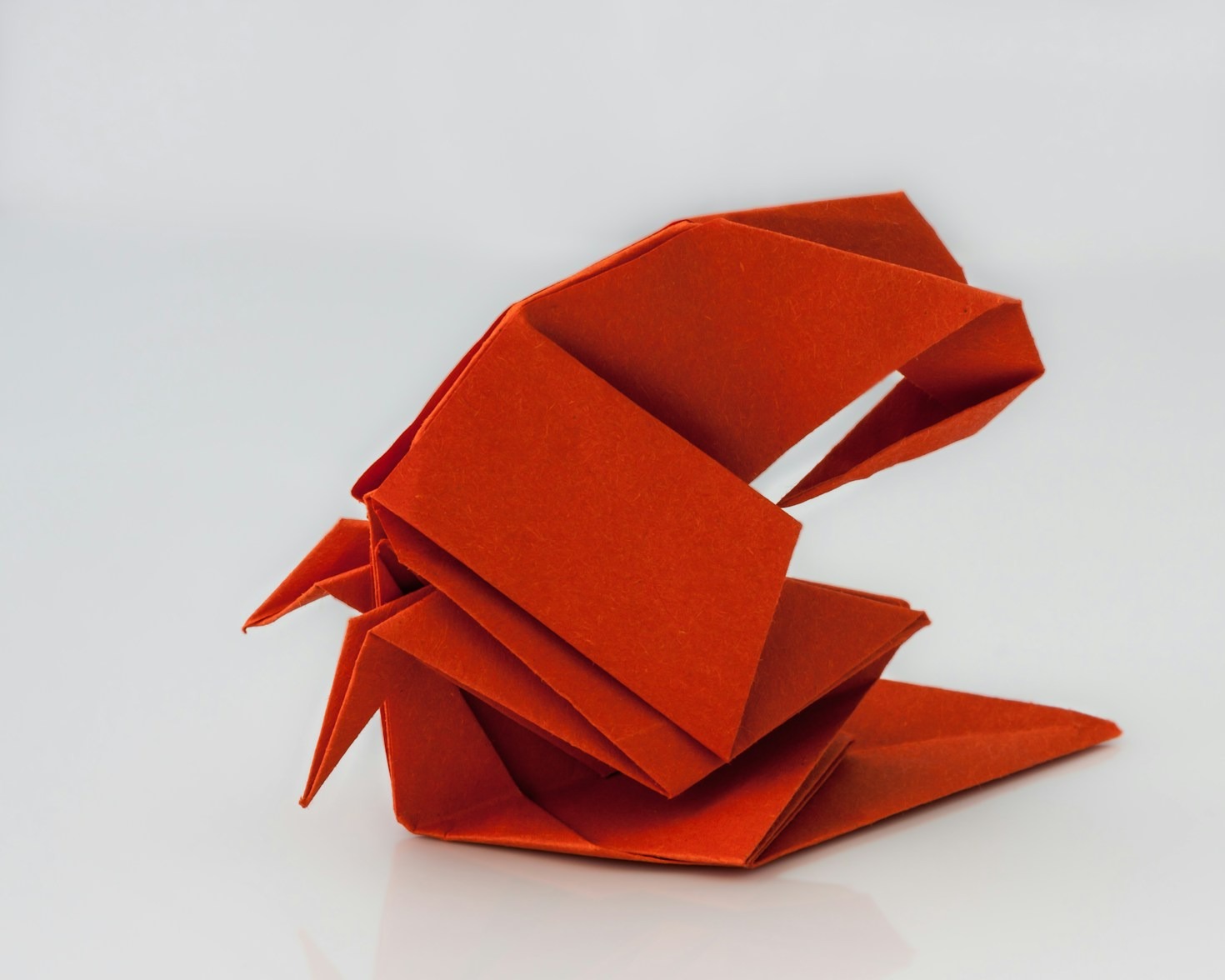 The Art of Origami: From Tradition to Modern Creativity